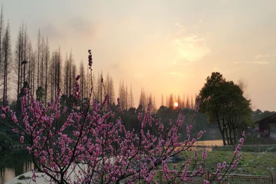 Taoyuan Shuixiang Hotel Chongming المظهر الخارجي الصورة